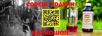 индика Гагарин