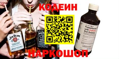 индика Гагарин
