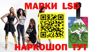 индика Гагарин