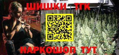 индика Гагарин