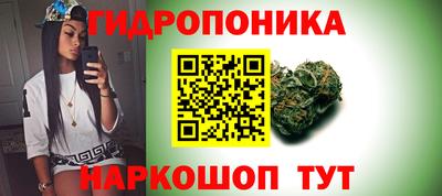 наркотики Гай