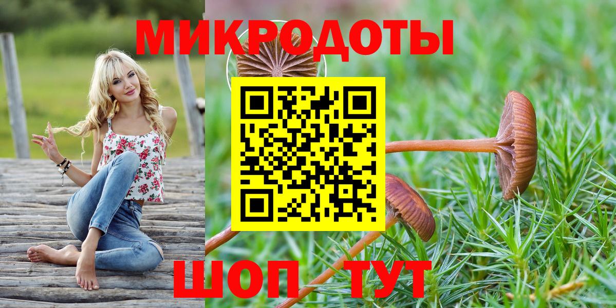 Камень-на-Оби  Галлюциногенные грибы Psilocybe  Вход с VPN 